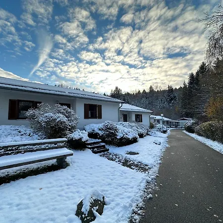 Mit Terrasse - Hunde Willkommen * Falkenstein (Upper Palatinate)
